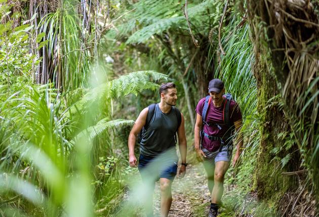 Hiking in New Zealand is the best way to immerse yourself in iconic natural beauty. Find out more about New Zealand's great walks and diverse New Zealand trails.