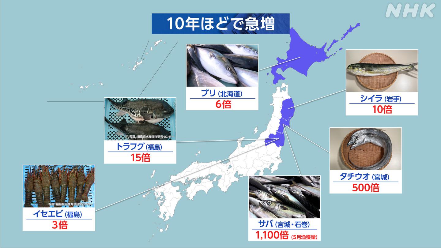 10年ほどで急増した各地の魚