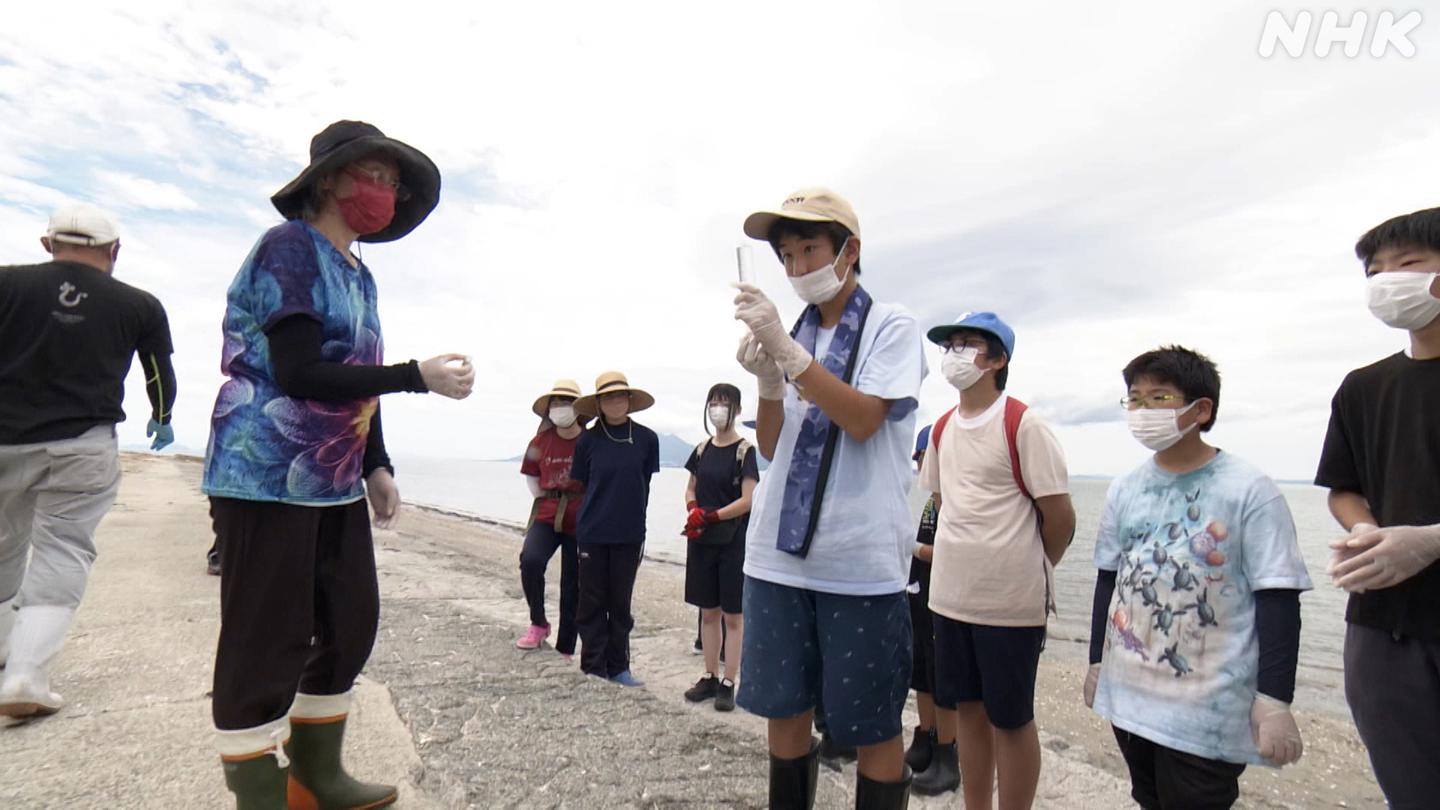 調査に参加する市民ボランティア