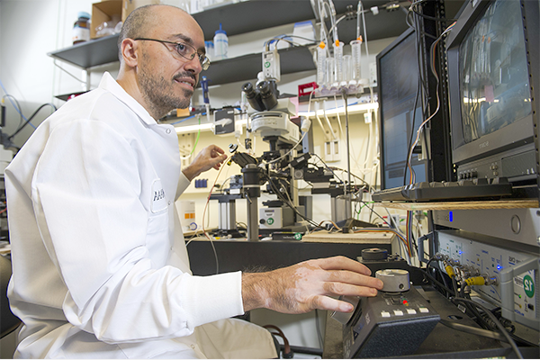 Martín Adrover measures dopamine release from neurons in live brain tissue under a microscope 