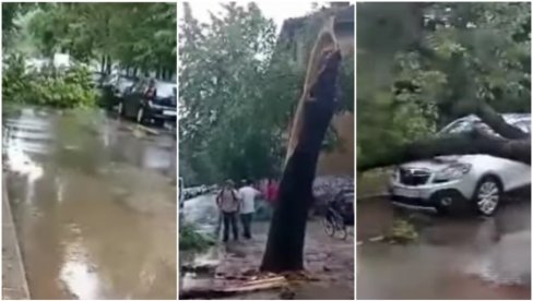 SNAŽNO NEVREME PROTUTNJALO SRBIJOM: Vetar čupao stabla, ulicama tekle bujice vode (FOTO/VIDEO)