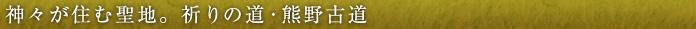 神々が住む聖地。祈りの道・熊野古道
