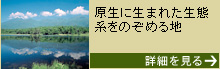 【北海道】知床