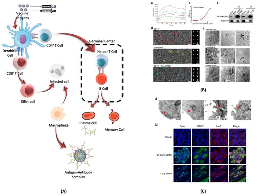 Nanotheranostics Image