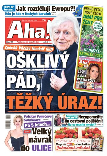 Obálka e-magazínu AHA! 11.6.2024