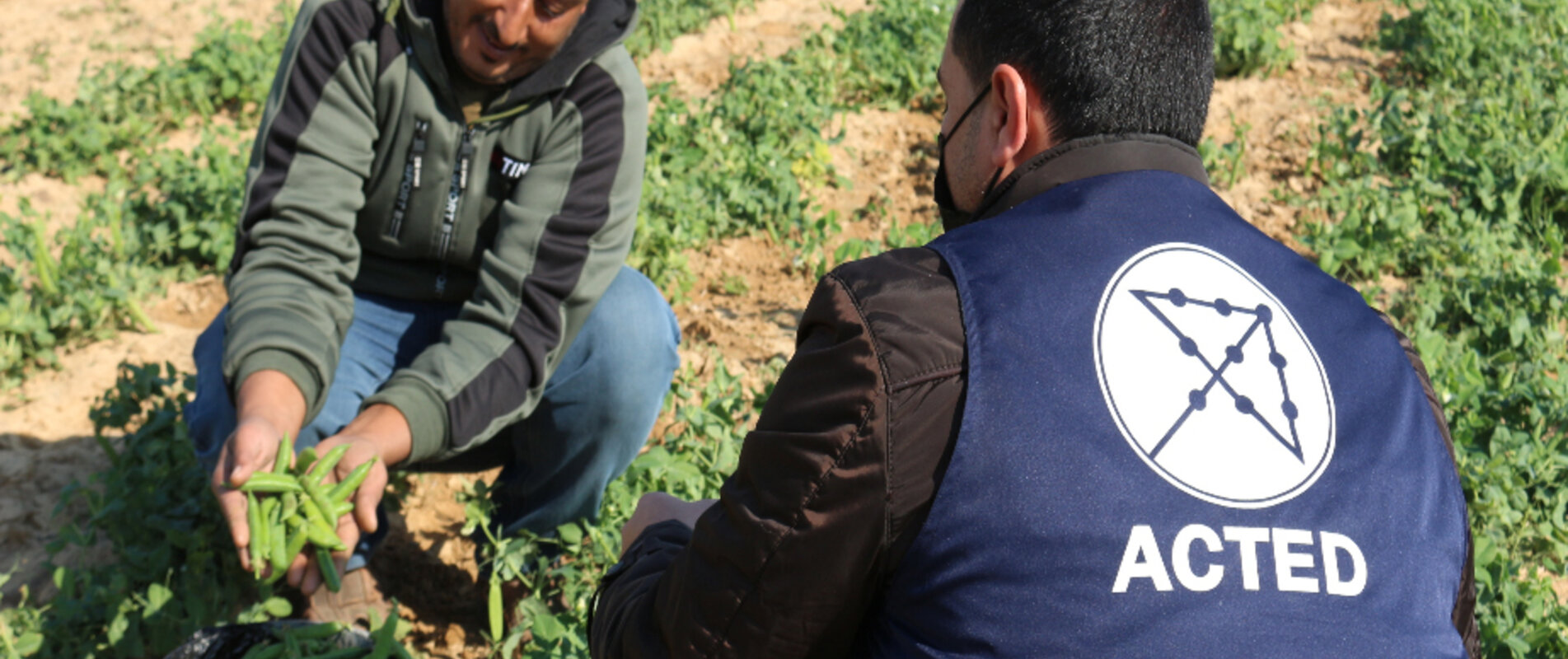 Omar on his field with a staff member from ACTED.