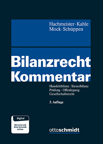 Ansicht: Bilanzrecht