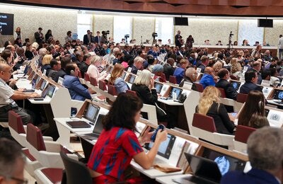 Delegates at World Health Assembly 