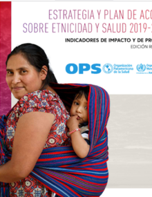 Estrategia y plan de acción sobre etnicidad y salud 2019-2025. Indicadores de impacto y de proceso. Edición revisada