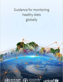 Guidance for monitoring healthy diets globally