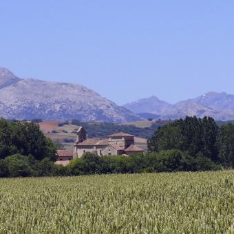 Panorámica de la iglesia de Santa Eufemia de Olmos de Ojeda, al fondo Montaña Palentina