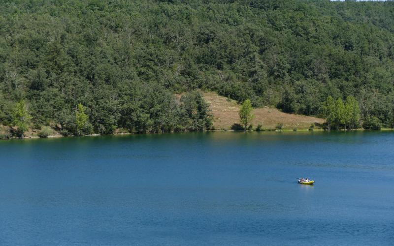 Actividad acuática en el pantano