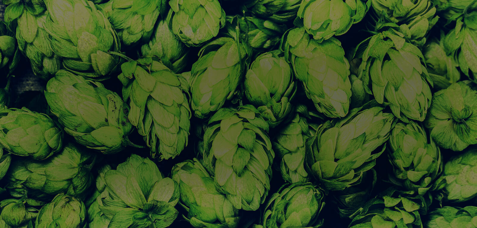 hops bg