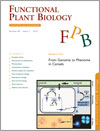 From Genome to Phenome in Cereals cover image