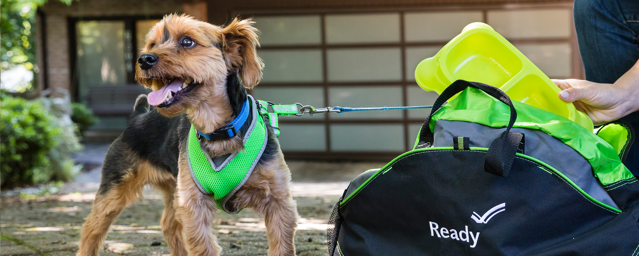  a dog next to a pet supply kit