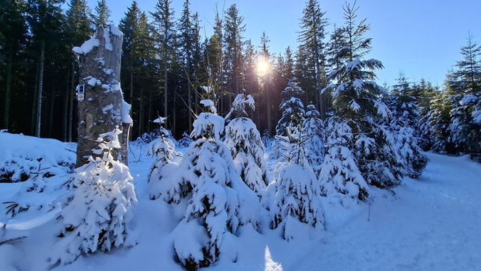 Wetterstation Ettenheimmünster zieht Bilanz: Weiße Weihnachten gab es nur auf Höhe des Schwarzwaldes