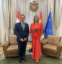 Даље унапређење укупних билатералних односа Србије и Египта