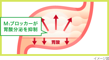 ガストール錠 特長1