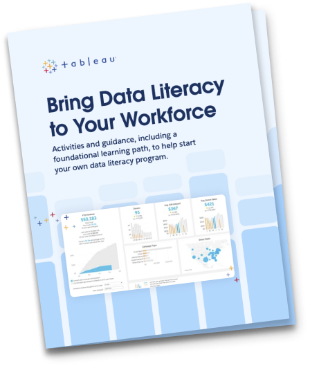 Data Literacy Guides