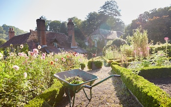 Wheelbarrow in garden 