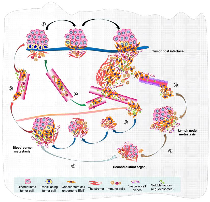 Theranostics Image