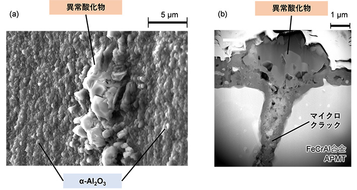 図1 ワイヤー放電加工面に残存したマイクロクラックと酸化処理への影響 (a) 表面像、(b) 断面像 