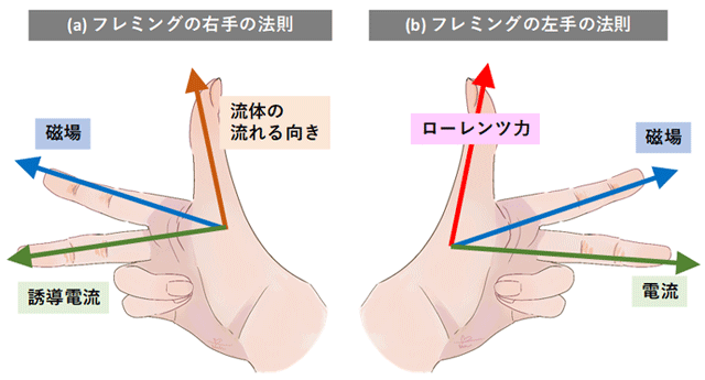 図6 誘導電流の発生とそれによるローレンツ力の発生 (a) フレミングの右手の法則、(b) フレミングの左手の法則 