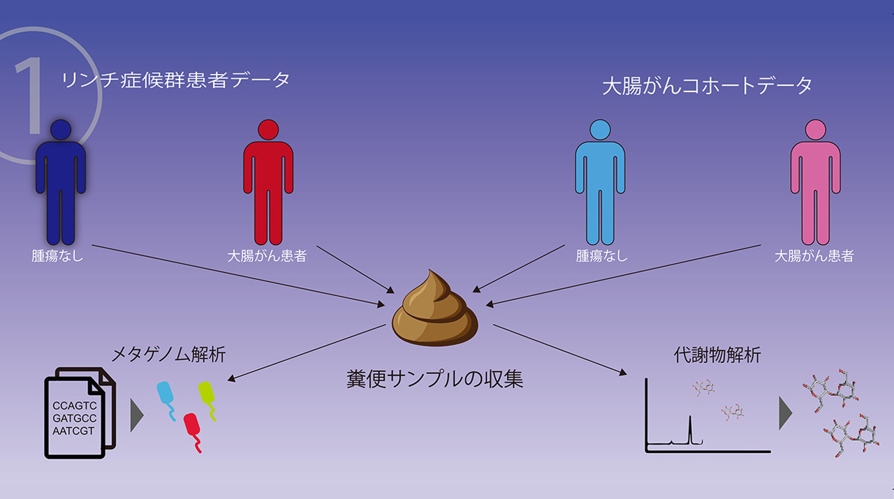 リンチ症候群患者の大腸がんと腸内細菌の関連性の解明