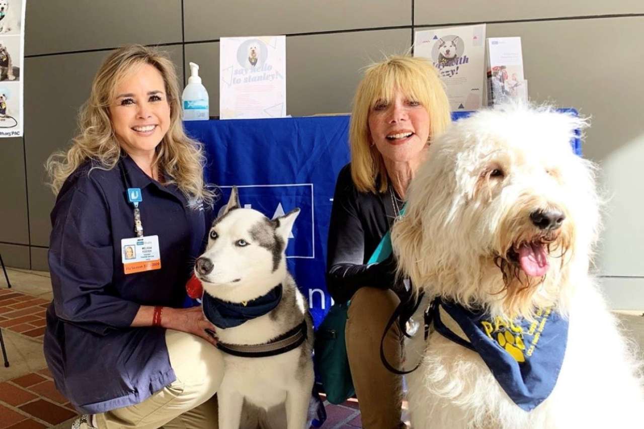 Ronald Reagan UCLA Medical Center pet visit station