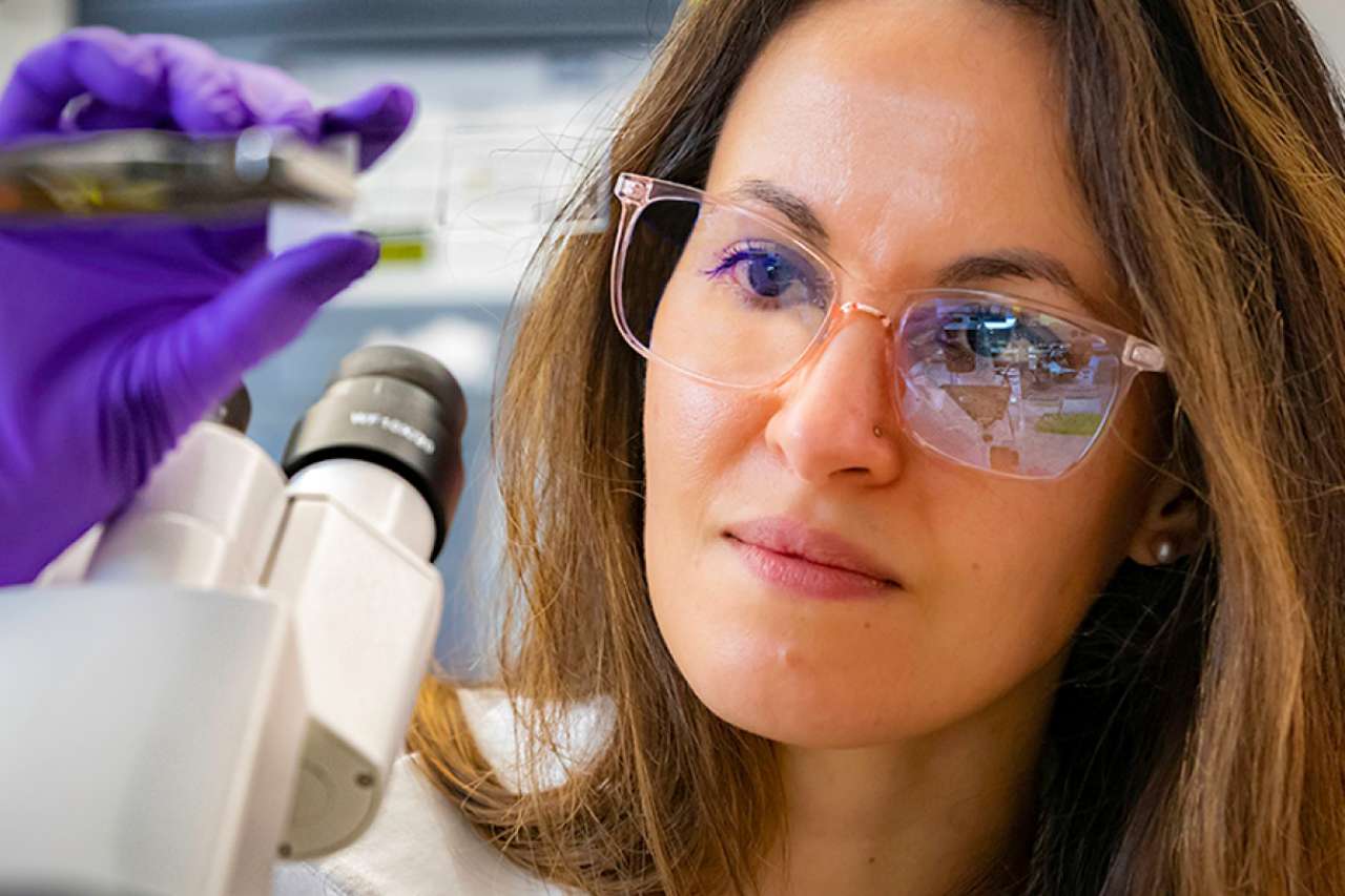 Scientist examining in front of a microscope