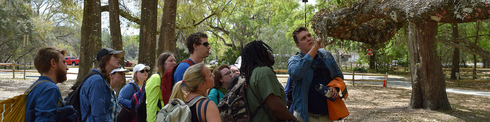 Students looking at plants