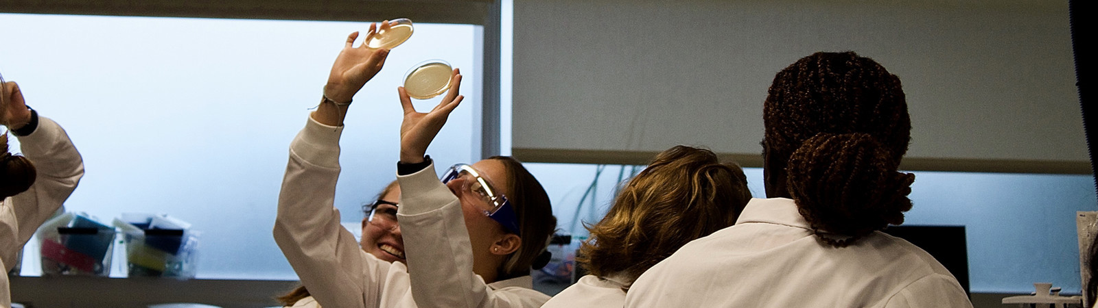 Student holds petri dish up to light. 