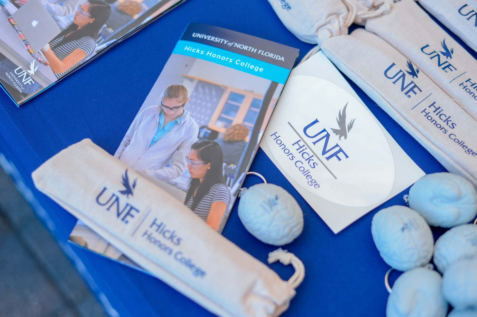 Blue and gray brochure, white stickers, gray squishy brains, and a cloth case that all are labeled with the Hicks Honors College logo.