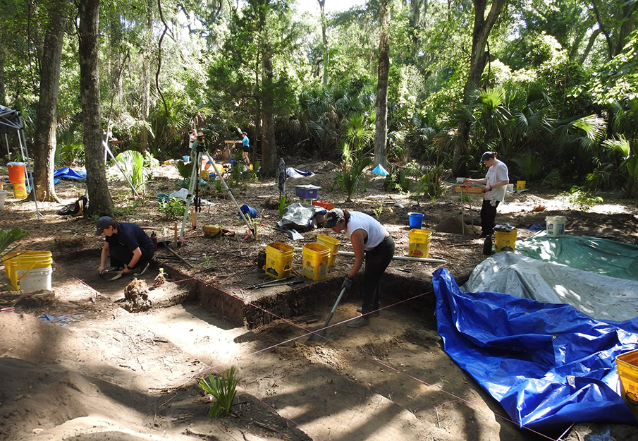 Students digging in the field