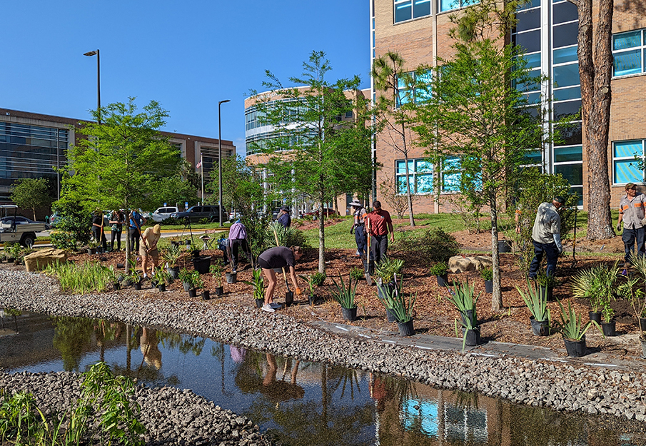 Volunteers working in the riparian garden