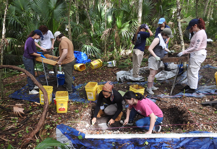 Archeology students digging and sifting through dirt