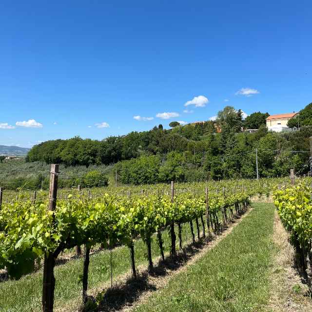 farm in Italy