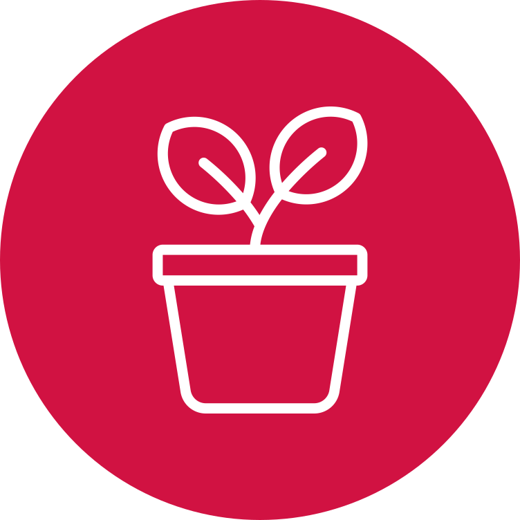 plant icon