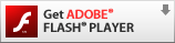 Adobe Flash Player download.