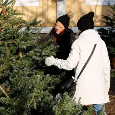 Julstämning i Ronneby, tända juleljus i granen