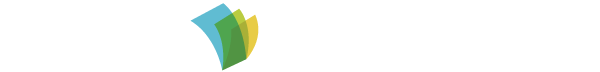 The Money Project