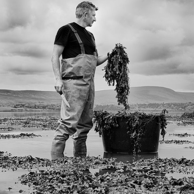 Seaweed Baths