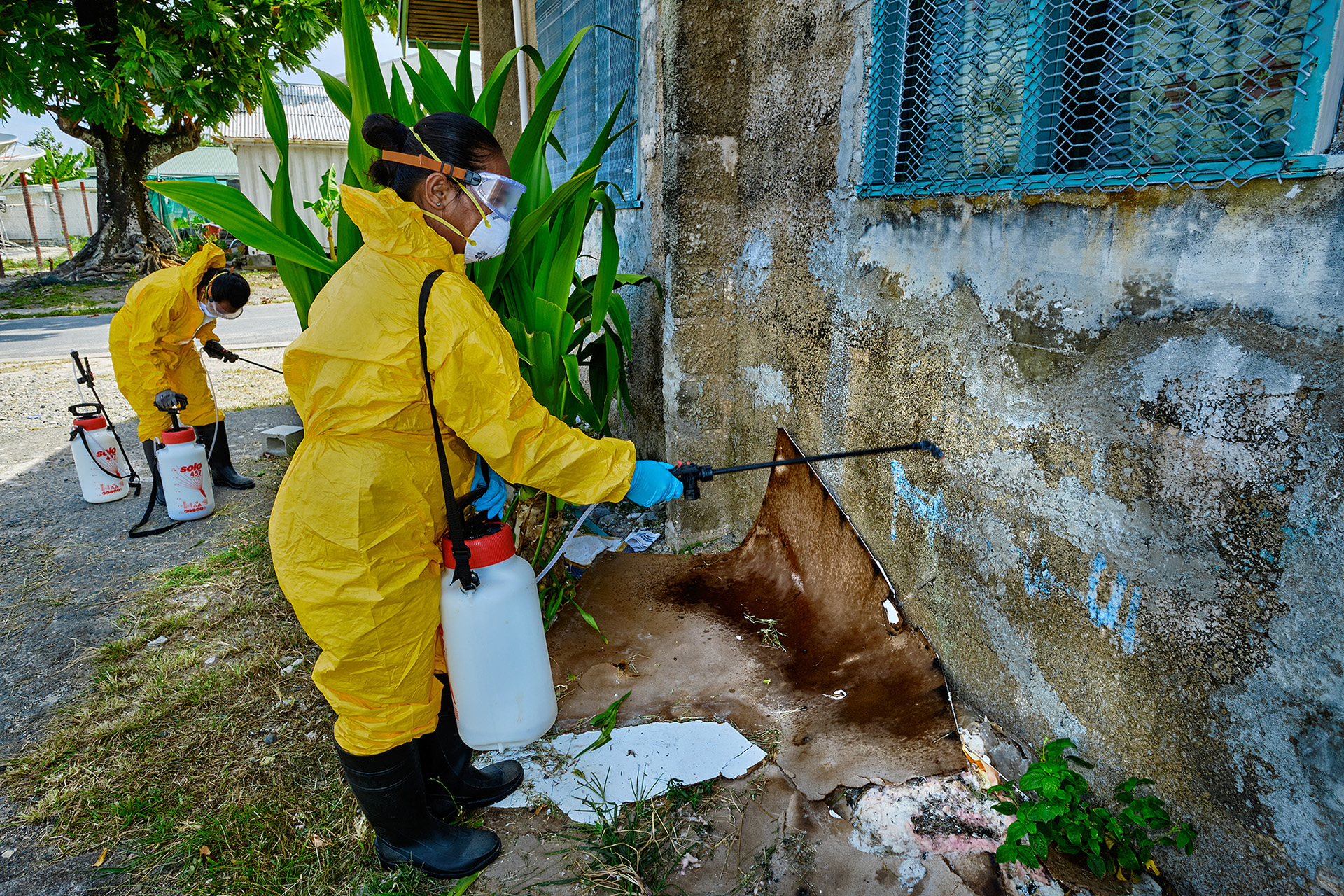 Community health workers wearing Personal Protective Equipment (PPE) spraying insecticide to control mosquito larvae in the communities of Tuvalu.