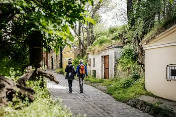 Escursione nel bosco