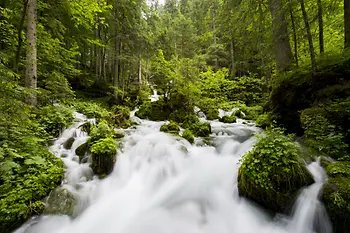 Source d'eau dans les Alpes