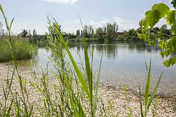 Sponda ghiaiosa di Strombucht 