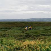 Members of Wirral Coastguard Rescue Team involved in search for lost dog on Parkgate marshland on Wednesday, August 7