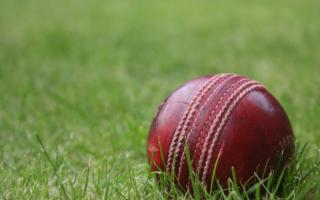 Cricket ball