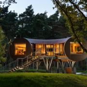 There are seven treehouses in Cornbury Park are available to book now