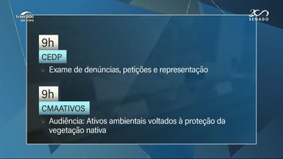 Conselho de Ética reúne-se para análise de pedidos de abertura de procedimento disciplinar